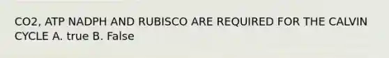 CO2, ATP NADPH AND RUBISCO ARE REQUIRED FOR THE CALVIN CYCLE A. true B. False