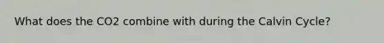 What does the CO2 combine with during the Calvin Cycle?