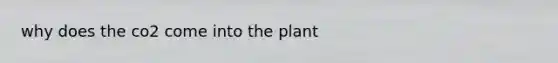 why does the co2 come into the plant