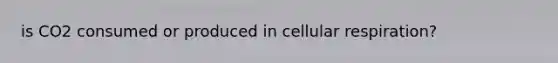 is CO2 consumed or produced in cellular respiration?