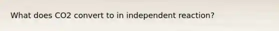 What does CO2 convert to in independent reaction?