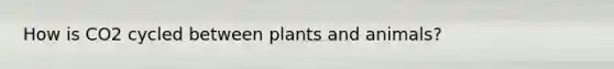 How is CO2 cycled between plants and animals?