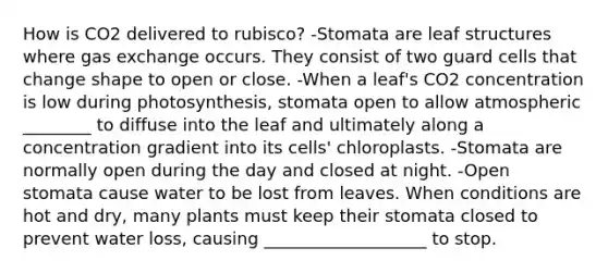 How is CO2 delivered to rubisco? -Stomata are leaf structures where gas exchange occurs. They consist of two guard cells that change shape to open or close. -When a leaf's CO2 concentration is low during photosynthesis, stomata open to allow atmospheric ________ to diffuse into the leaf and ultimately along a concentration gradient into its cells' chloroplasts. -Stomata are normally open during the day and closed at night. -Open stomata cause water to be lost from leaves. When conditions are hot and dry, many plants must keep their stomata closed to prevent water loss, causing ___________________ to stop.