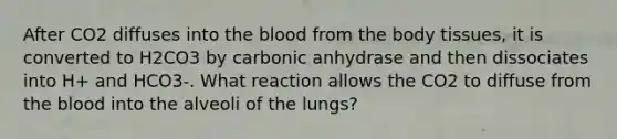 After CO2 diffuses into <a href='https://www.questionai.com/knowledge/k7oXMfj7lk-the-blood' class='anchor-knowledge'>the blood</a> from the body tissues, it is converted to H2CO3 by carbonic anhydrase and then dissociates into H+ and HCO3-. What reaction allows the CO2 to diffuse from the blood into the alveoli of the lungs?