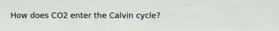 How does CO2 enter the Calvin cycle?