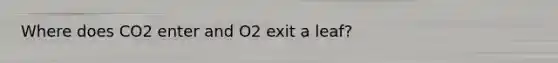 Where does CO2 enter and O2 exit a leaf?