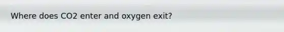 Where does CO2 enter and oxygen exit?