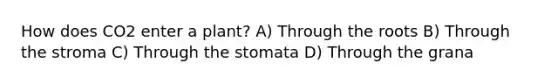 How does CO2 enter a plant? A) Through the roots B) Through the stroma C) Through the stomata D) Through the grana