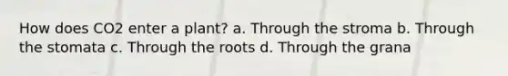 How does CO2 enter a plant? a. Through the stroma b. Through the stomata c. Through the roots d. Through the grana