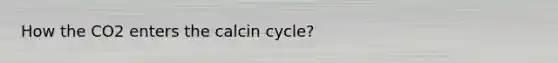 How the CO2 enters the calcin cycle?