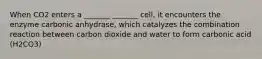 When CO2 enters a _______ _______ cell, it encounters the enzyme carbonic anhydrase, which catalyzes the combination reaction between carbon dioxide and water to form carbonic acid (H2CO3)