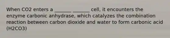 When CO2 enters a _______ _______ cell, it encounters the enzyme carbonic anhydrase, which catalyzes the combination reaction between carbon dioxide and water to form carbonic acid (H2CO3)