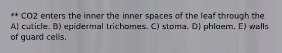 ** CO2 enters the inner the inner spaces of the leaf through the A) cuticle. B) epidermal trichomes. C) stoma. D) phloem. E) walls of guard cells.