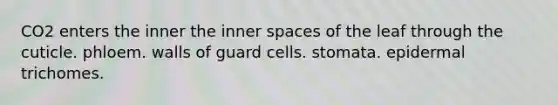 CO2 enters the inner the inner spaces of the leaf through the cuticle. phloem. walls of guard cells. stomata. epidermal trichomes.