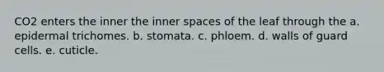 CO2 enters the inner the inner spaces of the leaf through the a. epidermal trichomes. b. stomata. c. phloem. d. walls of guard cells. e. cuticle.