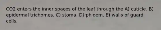 CO2 enters the inner spaces of the leaf through the A) cuticle. B) epidermal trichomes. C) stoma. D) phloem. E) walls of guard cells.