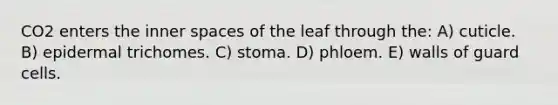 CO2 enters the inner spaces of the leaf through the: A) cuticle. B) epidermal trichomes. C) stoma. D) phloem. E) walls of guard cells.