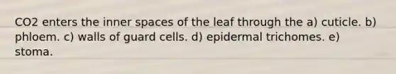 CO2 enters the inner spaces of the leaf through the a) cuticle. b) phloem. c) walls of guard cells. d) epidermal trichomes. e) stoma.