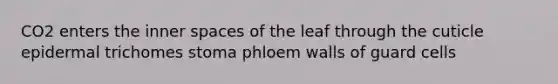 CO2 enters the inner spaces of the leaf through the cuticle epidermal trichomes stoma phloem walls of guard cells