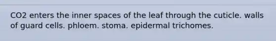 CO2 enters the inner spaces of the leaf through the cuticle. walls of guard cells. phloem. stoma. epidermal trichomes.