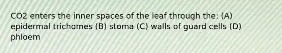 CO2 enters the inner spaces of the leaf through the: (A) epidermal trichomes (B) stoma (C) walls of guard cells (D) phloem