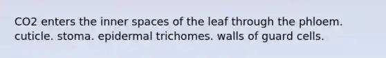 CO2 enters the inner spaces of the leaf through the phloem. cuticle. stoma. epidermal trichomes. walls of guard cells.