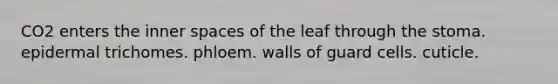 CO2 enters the inner spaces of the leaf through the stoma. epidermal trichomes. phloem. walls of guard cells. cuticle.