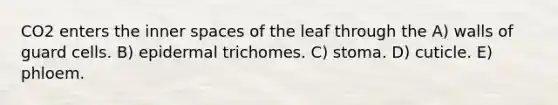 CO2 enters the inner spaces of the leaf through the A) walls of guard cells. B) epidermal trichomes. C) stoma. D) cuticle. E) phloem.