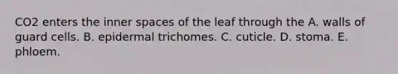 CO2 enters the inner spaces of the leaf through the A. walls of guard cells. B. epidermal trichomes. C. cuticle. D. stoma. E. phloem.