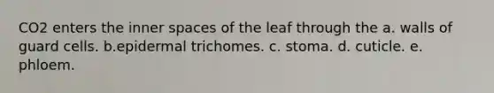 CO2 enters the inner spaces of the leaf through the a. walls of guard cells. b.epidermal trichomes. c. stoma. d. cuticle. e. phloem.