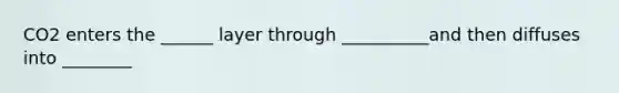 CO2 enters the ______ layer through __________and then diffuses into ________