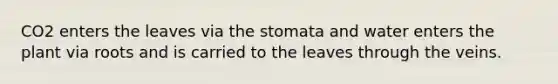 CO2 enters the leaves via the stomata and water enters the plant via roots and is carried to the leaves through the veins.