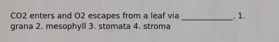 CO2 enters and O2 escapes from a leaf via _____________. 1. grana 2. mesophyll 3. stomata 4. stroma