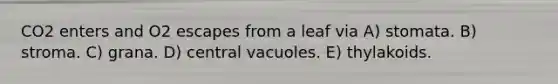 CO2 enters and O2 escapes from a leaf via A) stomata. B) stroma. C) grana. D) central vacuoles. E) thylakoids.