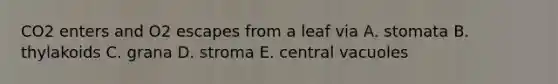 CO2 enters and O2 escapes from a leaf via A. stomata B. thylakoids C. grana D. stroma E. central vacuoles