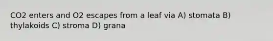 CO2 enters and O2 escapes from a leaf via A) stomata B) thylakoids C) stroma D) grana