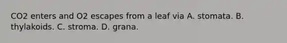 CO2 enters and O2 escapes from a leaf via A. stomata. B. thylakoids. C. stroma. D. grana.