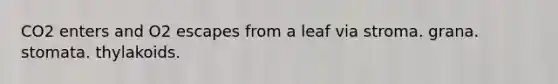 CO2 enters and O2 escapes from a leaf via stroma. grana. stomata. thylakoids.