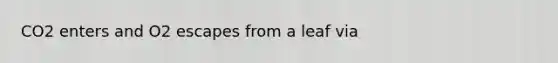CO2 enters and O2 escapes from a leaf via