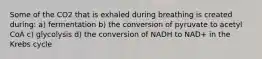 Some of the CO2 that is exhaled during breathing is created during: a) fermentation b) the conversion of pyruvate to acetyl CoA c) glycolysis d) the conversion of NADH to NAD+ in the Krebs cycle