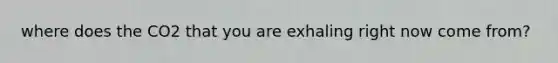 where does the CO2 that you are exhaling right now come from?