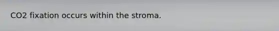 CO2 fixation occurs within the stroma.