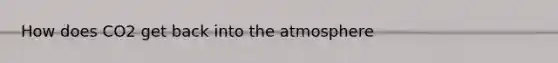 How does CO2 get back into the atmosphere