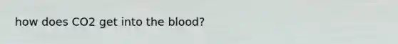 how does CO2 get into the blood?