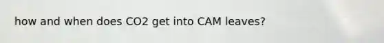 how and when does CO2 get into CAM leaves?