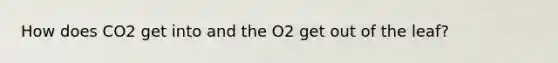 How does CO2 get into and the O2 get out of the leaf?