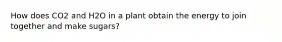 How does CO2 and H2O in a plant obtain the energy to join together and make sugars?