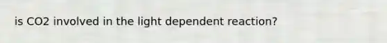 is CO2 involved in the light dependent reaction?