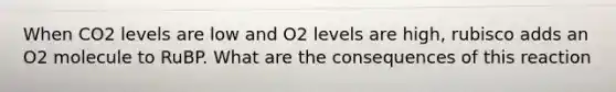 When CO2 levels are low and O2 levels are high, rubisco adds an O2 molecule to RuBP. What are the consequences of this reaction