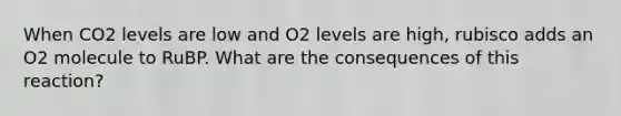 When CO2 levels are low and O2 levels are high, rubisco adds an O2 molecule to RuBP. What are the consequences of this reaction?